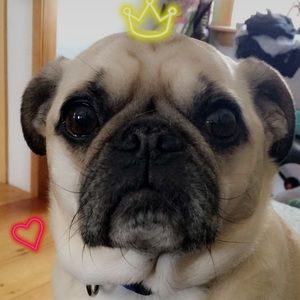 Meet your Posher, Matt